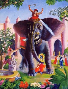 The caretaker provoked the elephant to try to kill Lord Krishna.