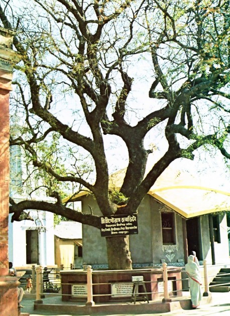 The birthplace of Lord Sri Caitanya Mahaprabhu