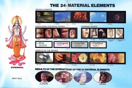 The 24 material elements