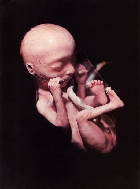 Life in the Womb, and embryo in the womb.
