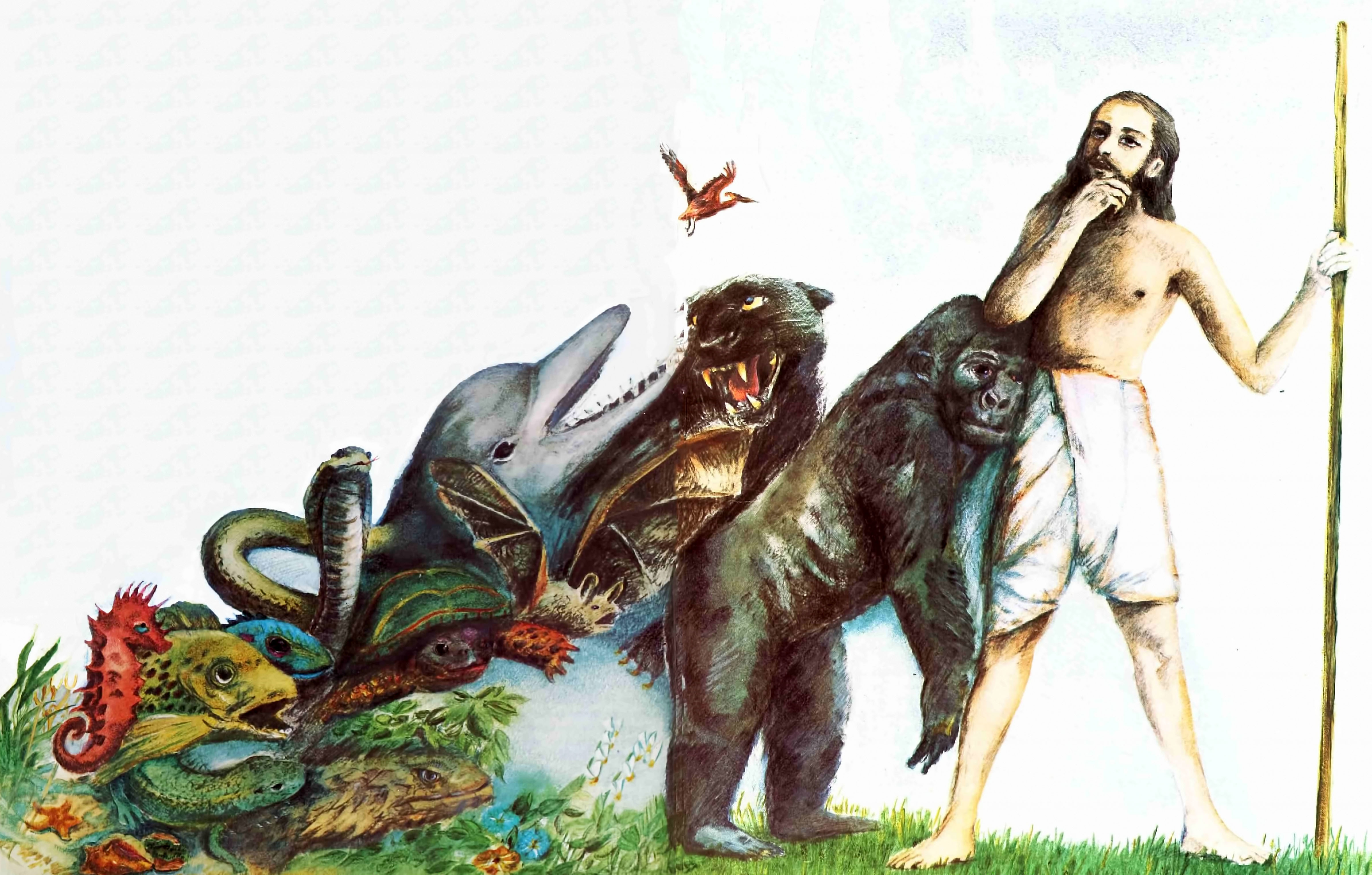 Charles Darwins Theory of Evolution