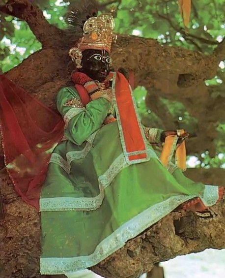 Vrindavan 1975, Krishna deity in tree.