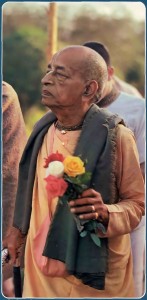 Srila Prabhupada holding a bunch of roses. 1976