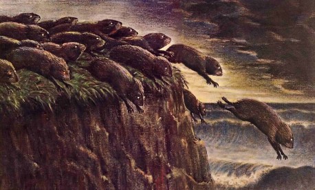 Lemmings following the leader into the sea.