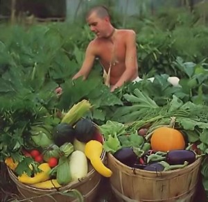 Manohara dasa, New Vrindavana's head gardener, gathers vegetables at the main farm.  - 1977