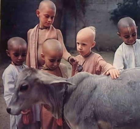The boys look on the cow as their mother--her milk gives them the intelligence they'll need to become brahmanas, spiritual leaders. And in a world rife with cow slaughter and spiritual ignorance, they await the day when everyone bows to Krishna the protector of the cows and brahmanas and the real leader of us all.
