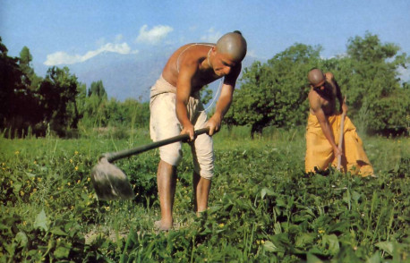 With the snow-covered Andes as a backdrop, devotees work their fertile eight-acre plot.