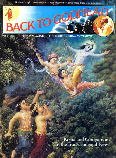 Lord Krsna and Companions in the Transcendental Forest. Illusioned materialists who think the Supreme Personality of Godhead an ordinary person , transcendentalists intentupon His impersonal aspect, and even devotees who accept Him as their master cannot understand how certain exalted souls - having performed volumes of devotional service -are now playing with the Supreme Godhead Himself as His cowherd friends.