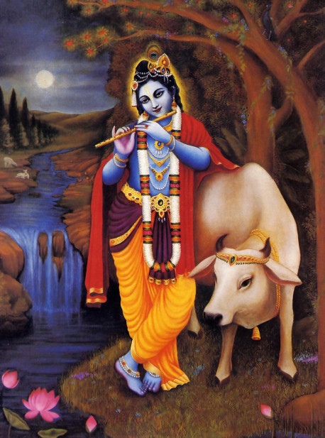 Krsna, the Supreme Personality of Godhead, reveals Himself in His original form only to those who strive to serve Him with eagerness and devotion. Under the guidance of a fully self realized spiritual master and in t he association of other aspiring devotees, a candidate for Krsna consciousness cultivates the desire to know the Supreme Lord as He is, shown here standing in His characteristic threefold-bending way on the bank of the River Yamuna in His eternal abode, Vrndavana.