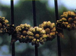 Detail from wrought-iron gates at the Palace shows the skill of devotee craftspeople.