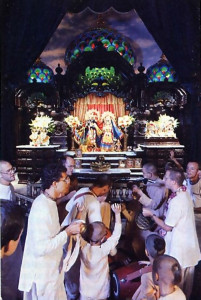 Devotees gather in the temple each morning to chant and dance for the pleasure of the Deities.