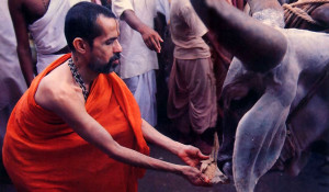 At the gala reception for the procession. His Holiness Visvesa Tirtha, the present paryaya svami of Sri Krsna Matha, offers rice cakes to the bullocks. At journey's end in Mayapur, West Bengal, in March 1986, the pilgrims will have traveled four thousand miles.