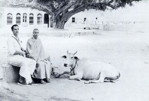 Acutuananda Swami in India with cow, 1973