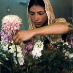 Woman Hare Krishna devotee arranging flowers for Krishna