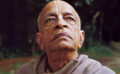 The Universal Teacher