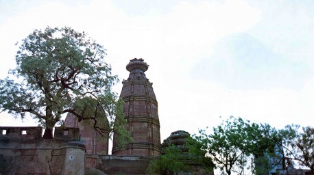 Radha Madhan Mohan temple Vrindavan 1975.