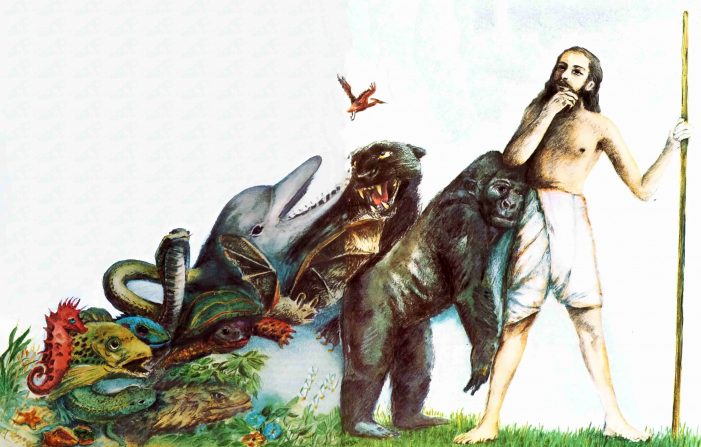 Evolution – A Theory in Danger of Extinction