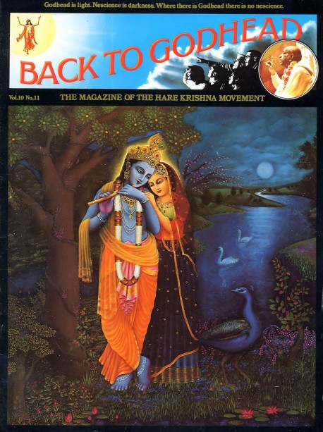 Back to Godhead - Volume 10, Number 11 - 1975 Cover