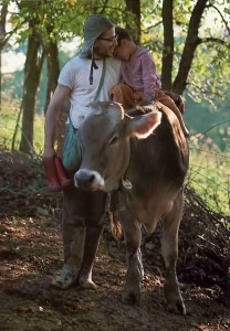 Hare Krishna devotee and son riding on calf at New Vrindvan, the Hare Krishna Farm community, 1975.