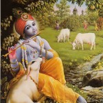 Krishna playing on His flute in Vrindavan with His cows and cowherd boyfriends in the background.