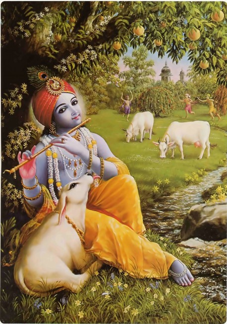 Krishna playing on His flute in Vrindavan with His cows and cowherd boyfriends in the background.