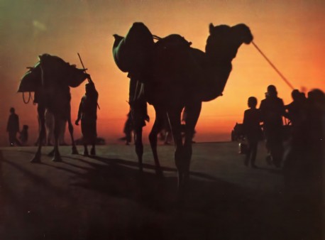 Sunset silhouttes pilgrims as they make their way to the River Ganges to celebrate the Kumbha Mela Festival.  