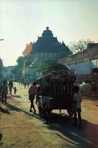 Oxcart filled with handmade clay pots makes its way to the Jagannatha Puri temple's main kitchen. 1976.