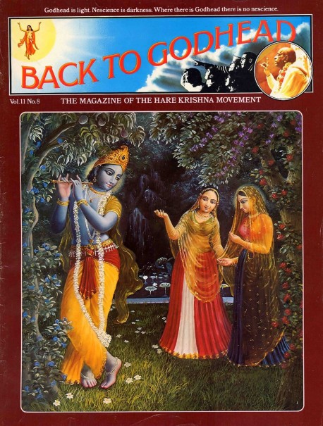 Back to Godhead - Volume 11, Number 08 - 1976 Cover