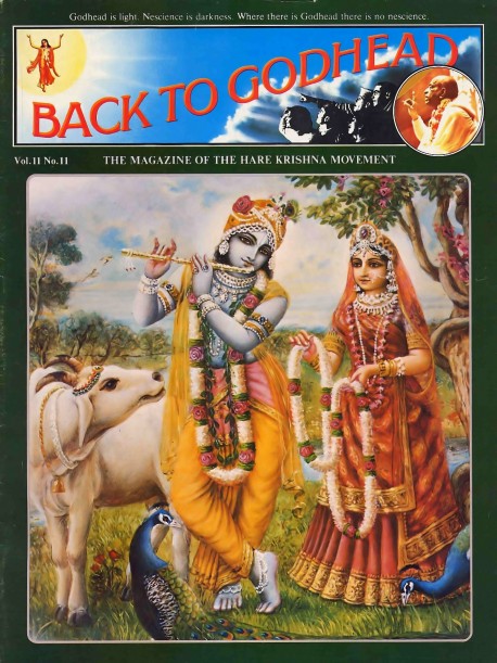 Back to Godhead - Volume 11, Number 11 - 1976 Cover