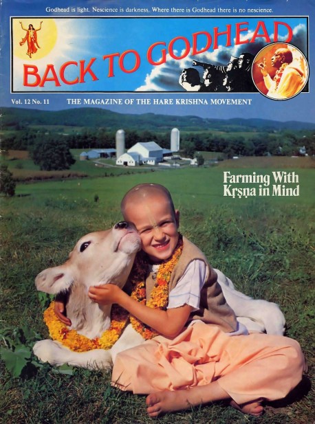 Back to Godhead - Volume 12, Number 11 - 1977 Cover