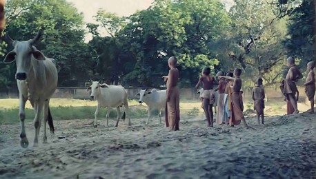 On your way to take a dip in the Yamuna, you can walk barefoot through the soft, beach like sands of the lush Vrndavana forest. At 4 P.M. or so, you're likely to meet the cows coming home. A simple life for the spiritually minded.