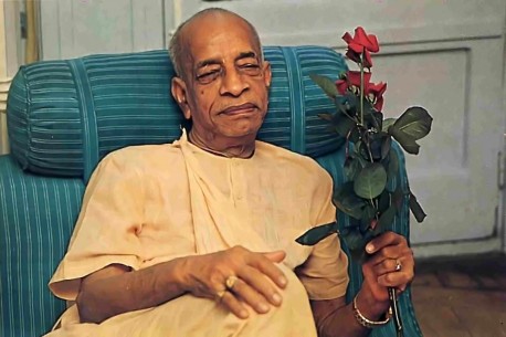 In his quarters, Srila Prabhupada accepts a flower from a disciple.  1977