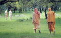 Vrindavan: The Land Where Krishna Lives
