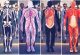 The Anatomy of the Self