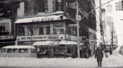 Srila Prabhupada in New York City, 1965 – Struggling Alone