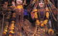 Krishna The Transcendence Comes Into View