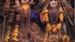 Krishna The Transcendence Comes Into View
