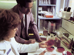 Bacteria cultures provide evidence for diagnoses in the hospital's lab.