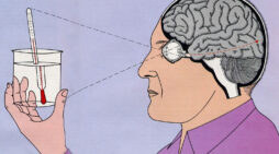 Searching Past the Mechanics of Perception — Scientific Views