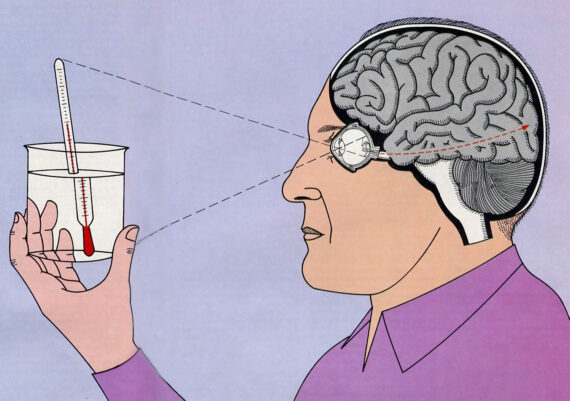Searching Past the Mechanics of Perception — Scientific Views