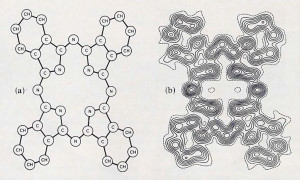 Fig. 6. (a) The structural diagram of an organic molecule. (b) An electron-density map for this molecule. Will the essence of consciousness be disclosed by the study of the structure and transformations of such patterns?