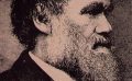 Evolution — A Doctrine in Search of a Theory