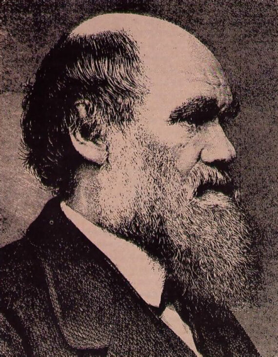 Evolution — A Doctrine in Search of a Theory
