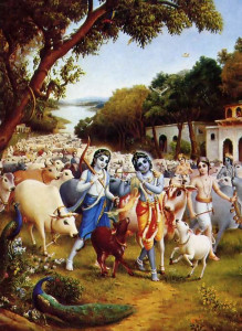 A painting depicts Krsna's pastimes in His village of Vrndavana