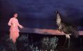 Close Encounter with Another Kind
