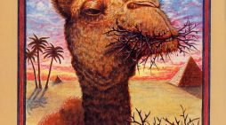 The Camel and the Thorns