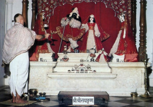 Worshiping the Deities of Radha and Krsna every morning in the Hare Krsna temple in Vrndavana inspires Bhaktisiddhama for his creative work.