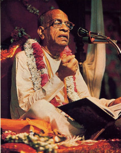 Srila Prabhupada discourses on the Srimad -Bhagavatam. "He has been very loyal to the tradition," says Dr . Hopkins. " but he has communicated it interms that are comprehensible to a Westerner. "