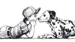 Animal Forum