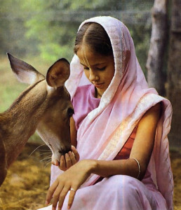 Ananda dasi feeds one of the deer that graze on the homestead